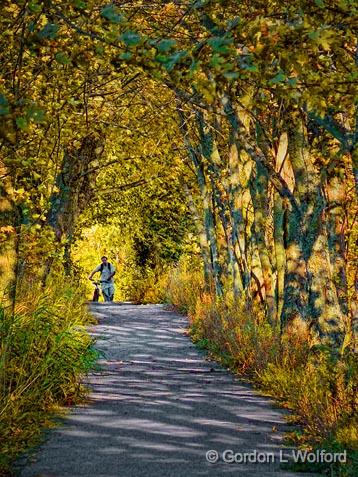 Trans-canada Trail_P1020877.jpg - Photographed at Lindsay, Ontario, Canada.